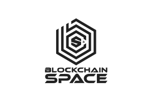 Logo of BlockchainSpace in gray