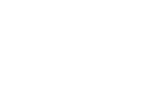 Future Primitive